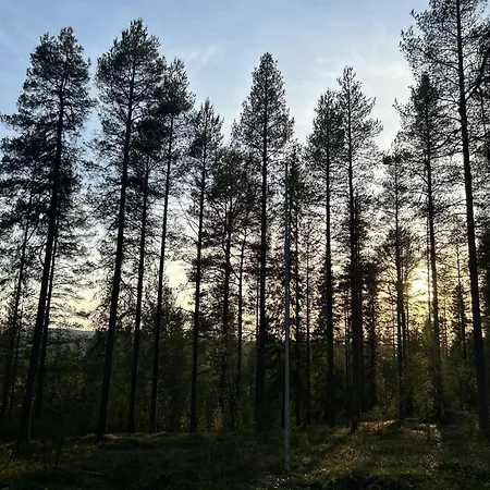 Kaamos Old House Dom wakacyjny *