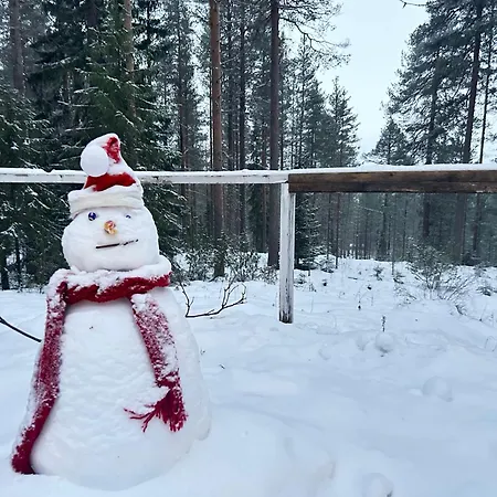 Dom wakacyjny Kaamos Old House