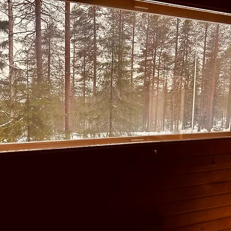 Kaamos Old House