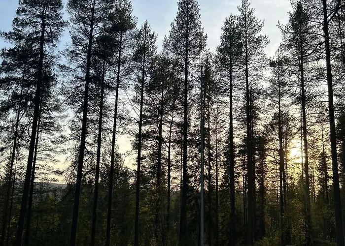 Kaamos Old House 펜션 *